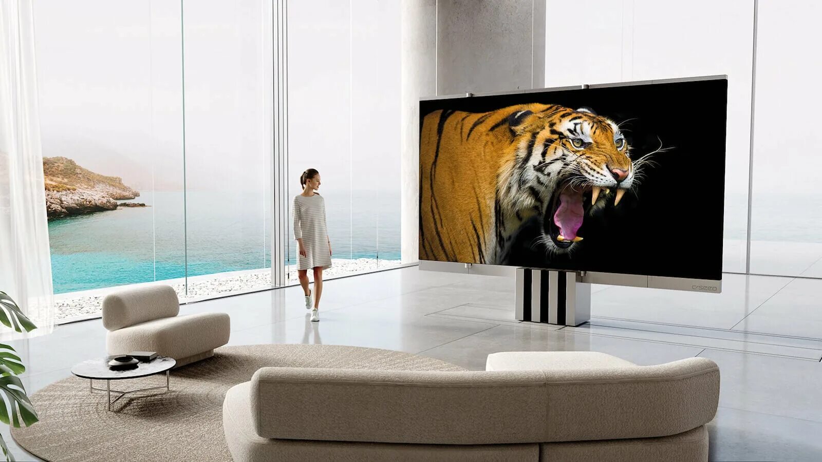 Какой телевизор покупать в 2024. C Seed m1. Большие телевизоры. Самый современный телевизор в мире. Самый большой телевизор.