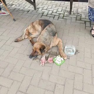Нужное в донецке