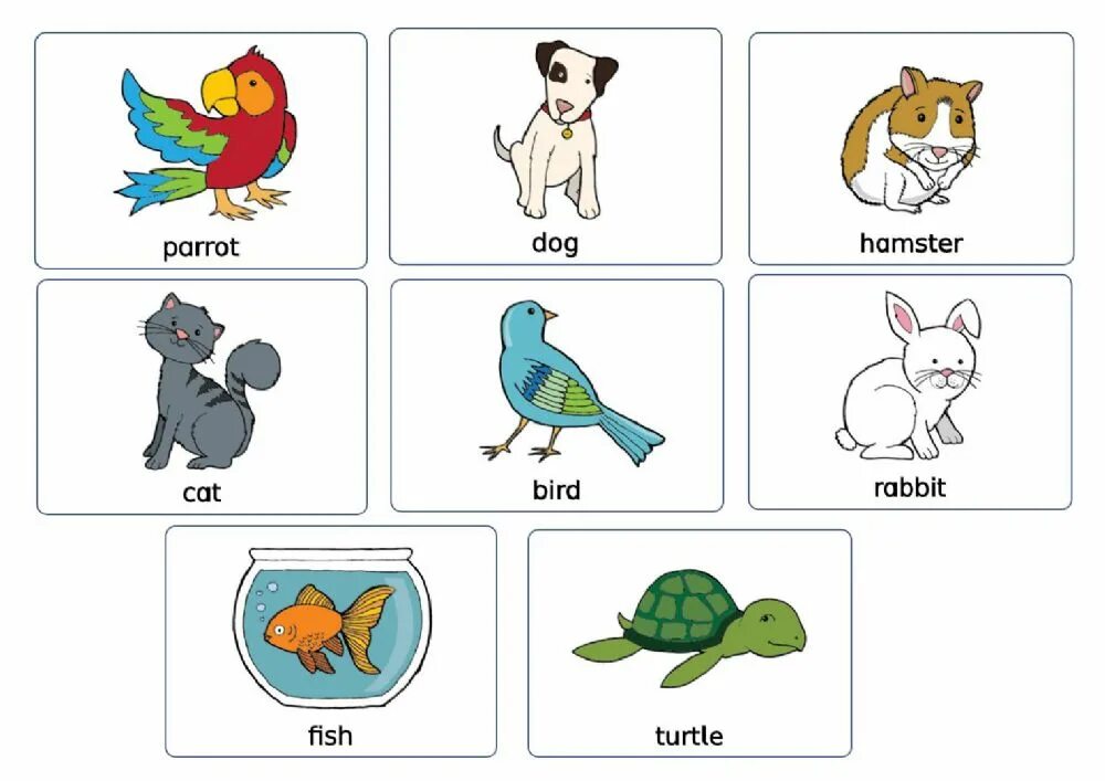 Pets на английском для детей. Питомцы на английском на б. Pets Vocabulary Worksheet. Проекты на тему my Pet. Pets vocabulary