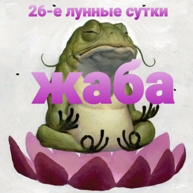 26 лунные сутки. 30 лунные сутки. 26 лунные сутки жаба. 26 лунный день картинки. 26 лунный день 2024.