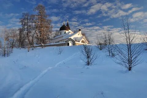 Тульская область зима