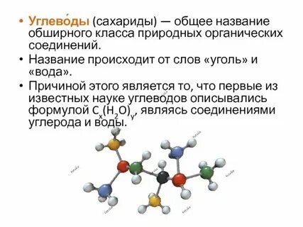 Название веществ в органической химии