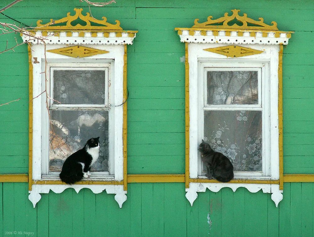 Кот под окном. Деревенское окно. Коты в деревенских окнах. Кошка на окне. Деревенское окно с кошкой.