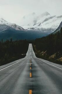 Предстоял длинный путь