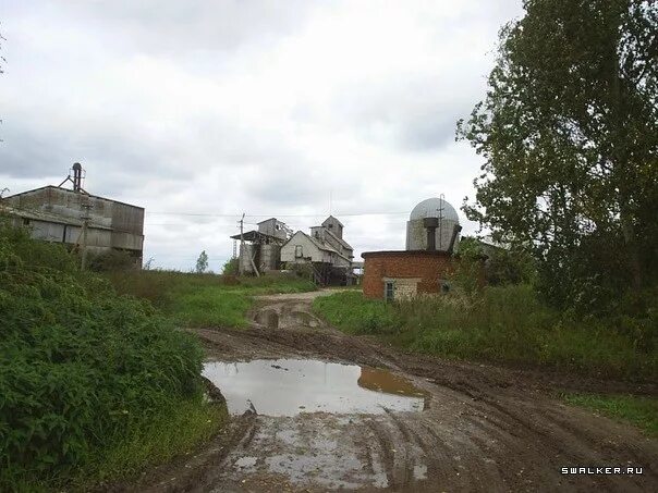 Профилакторий березка кострома. Каострома" тихий уголок". Лагерь тихий уголок кострома. Тихий уголок костромская область. Тихий уголок кострома.