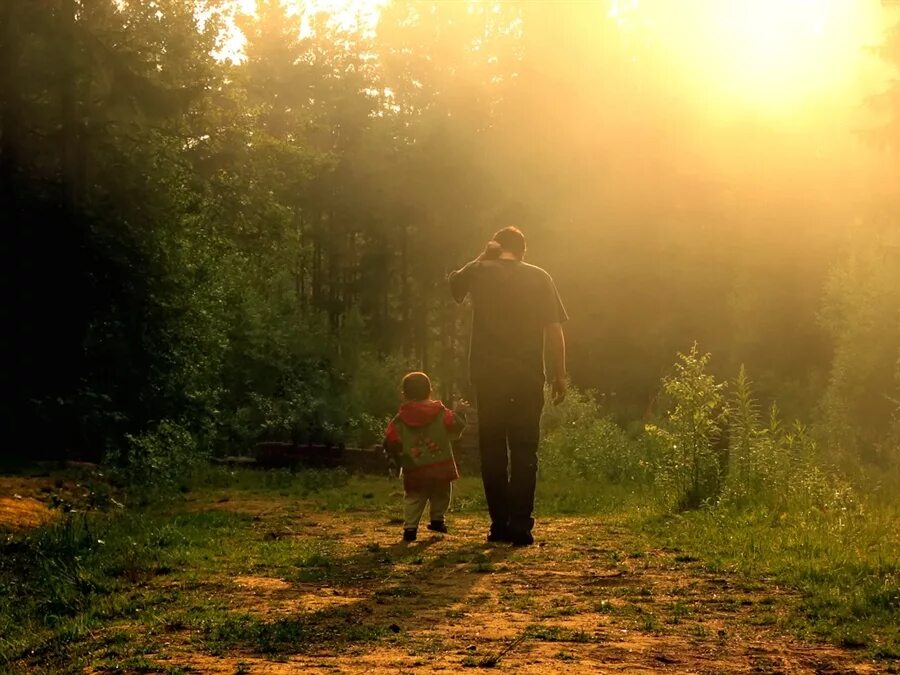 Ясный день отец и сын. Отец и сын. Отец природы. Папа с сыном идут. Сын в лесу.