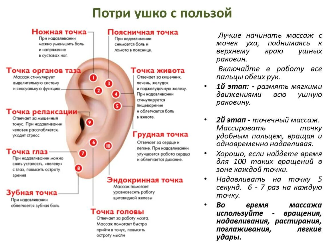 Точки на ухе для массажа. Активные точки на ушной раковине. Акупунктурные точки на мочке уха.