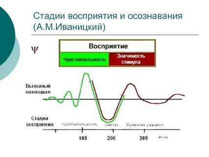 Этапы восприятия