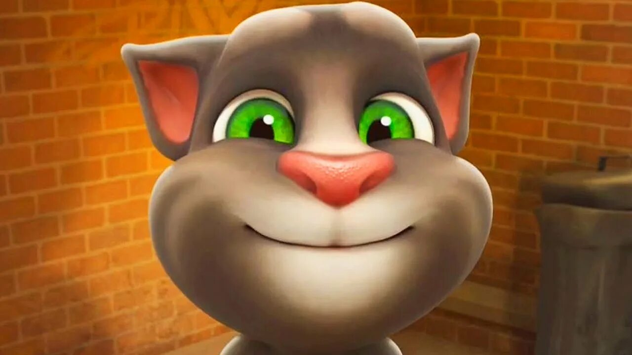 Правда о говорящем томе. Talking Tom Cat. Talking Tom 2010. Talking Tom 2010 Бен. Игра talking Tom Cat (2010).