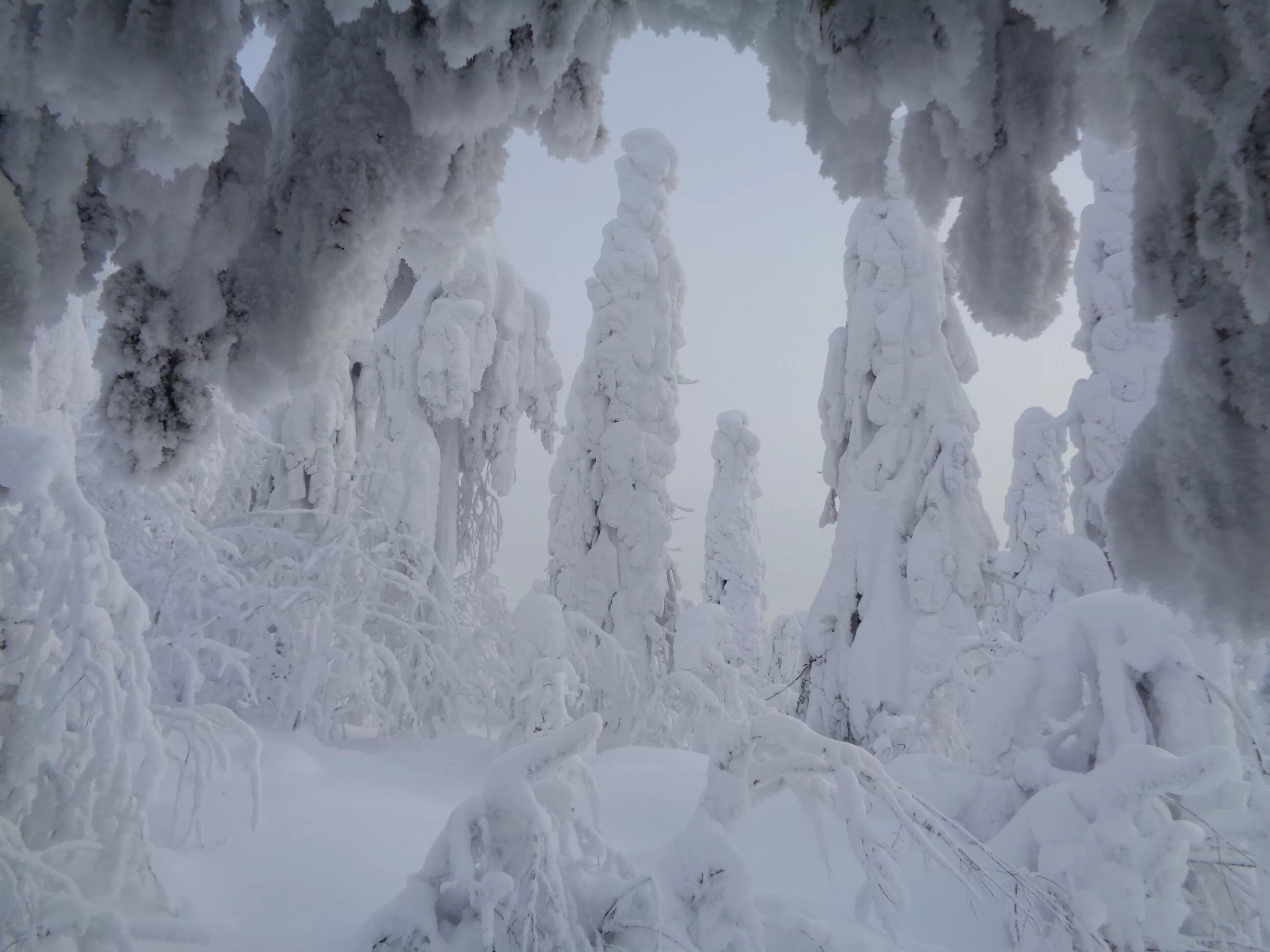 в течение зимы