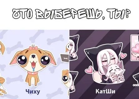 Катши