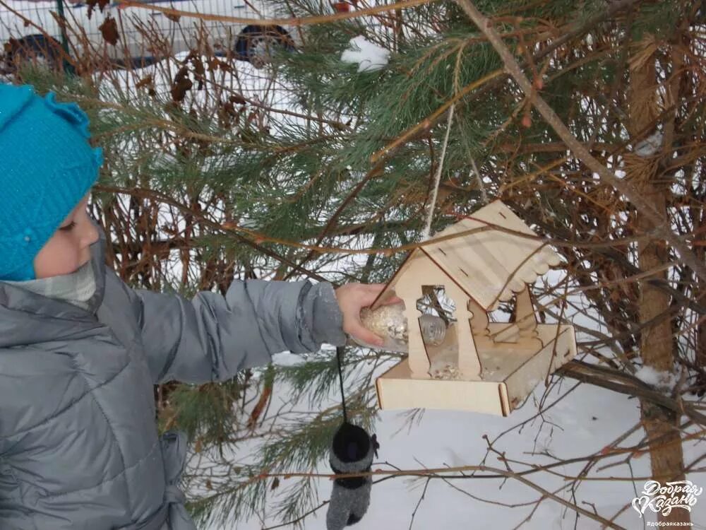 почему на кормушке был снег. птицы в скворечнике зимой. кормушка зимняя. кормушка на дереве. кормушка в саду зимой.