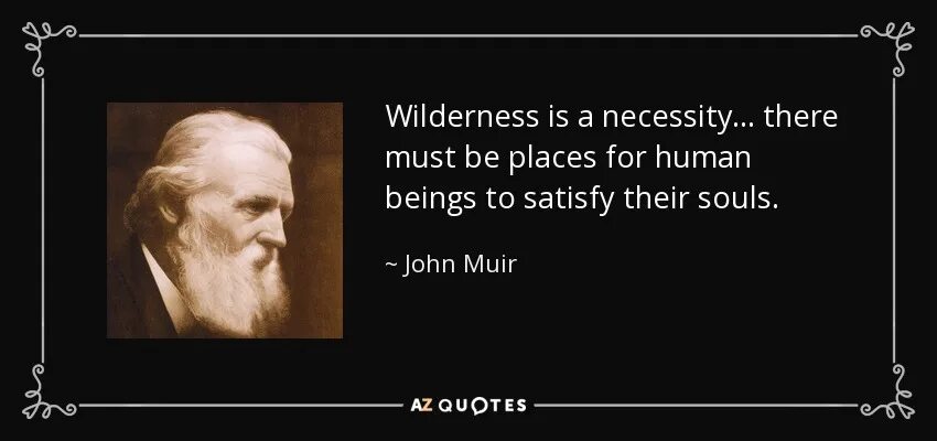 Rich forever way перевод. The Power of imagination makes us Infinite. John Muir. John is not sure where Jill is сокращение. John Muir Loved nature he Loved it so much that in 1867. Muir John how to keep Volkswagen.