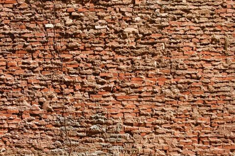 Wall обзор