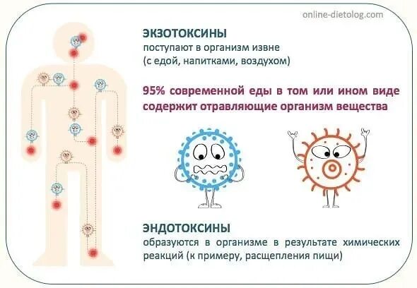 Бактериальные токсины Эндо и экзотоксины. Экзотоксины и эндотоксины бактерий. Экзотоксины микробиология. Экзотоксины и эндотоксины