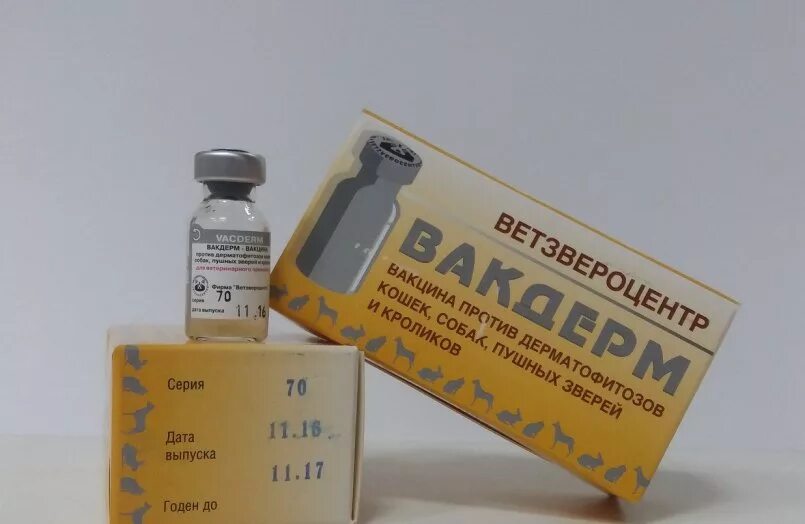 Вакдерм. Вакцина от лишая для кошек вакдерм. От лишая вакдерм. Вакцина против стригущего лишая крс лтф-130. Вакцина вакдерм.