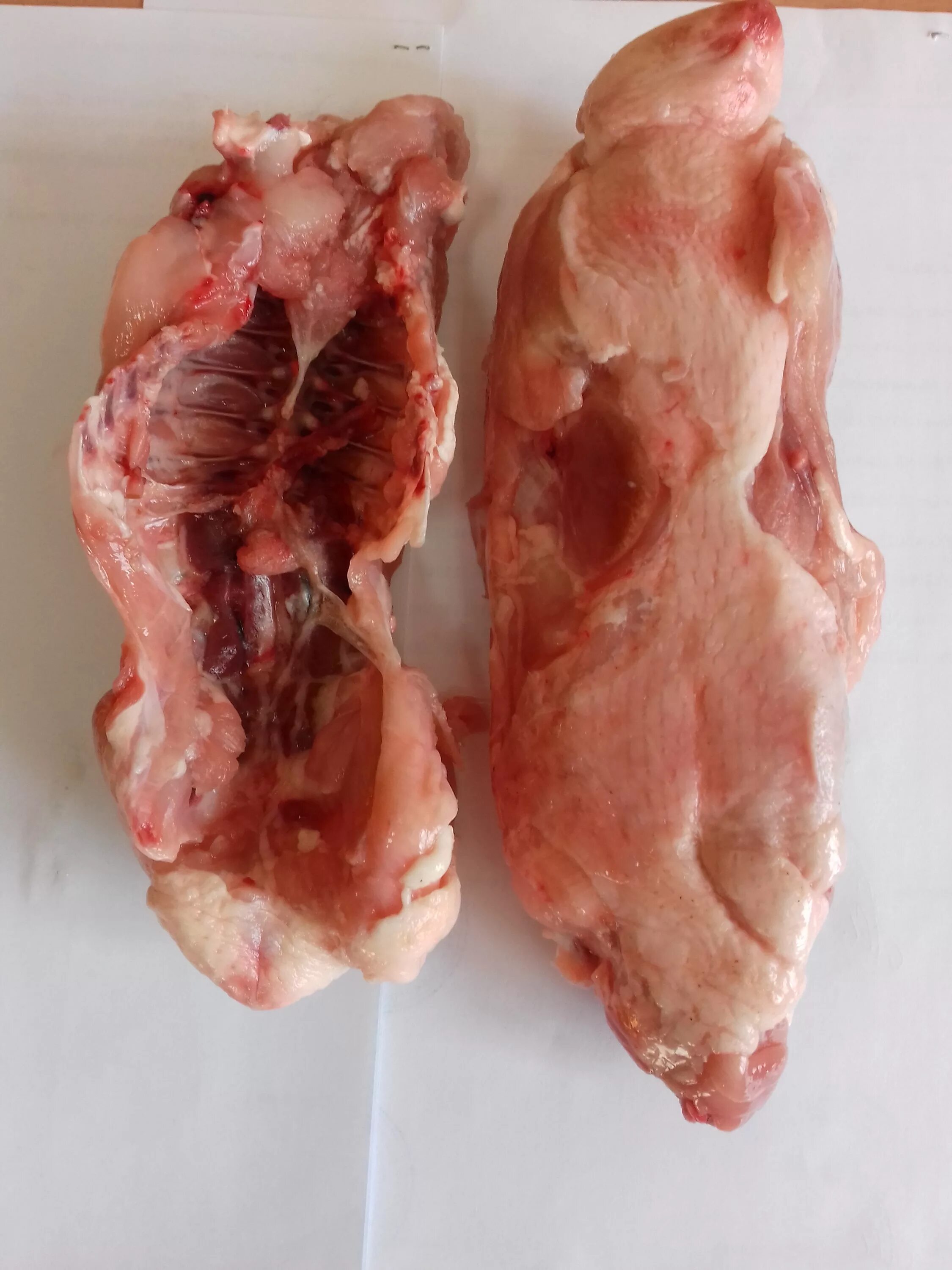 утиная ферма окорочок утки заморозка. утиный костный мозг в мясе утки. суповой набор утиный каркас. деревенские лакомства косточки утиные д/собак мини-пород. утиные кости.