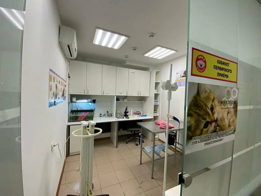 Ветклиника умка донецк. Умка ветеринарная клиника челябинск. Умка брянск. Ветеринарная клиника брянск бежицкий. Умка ветеринарная клиника челябинск.
