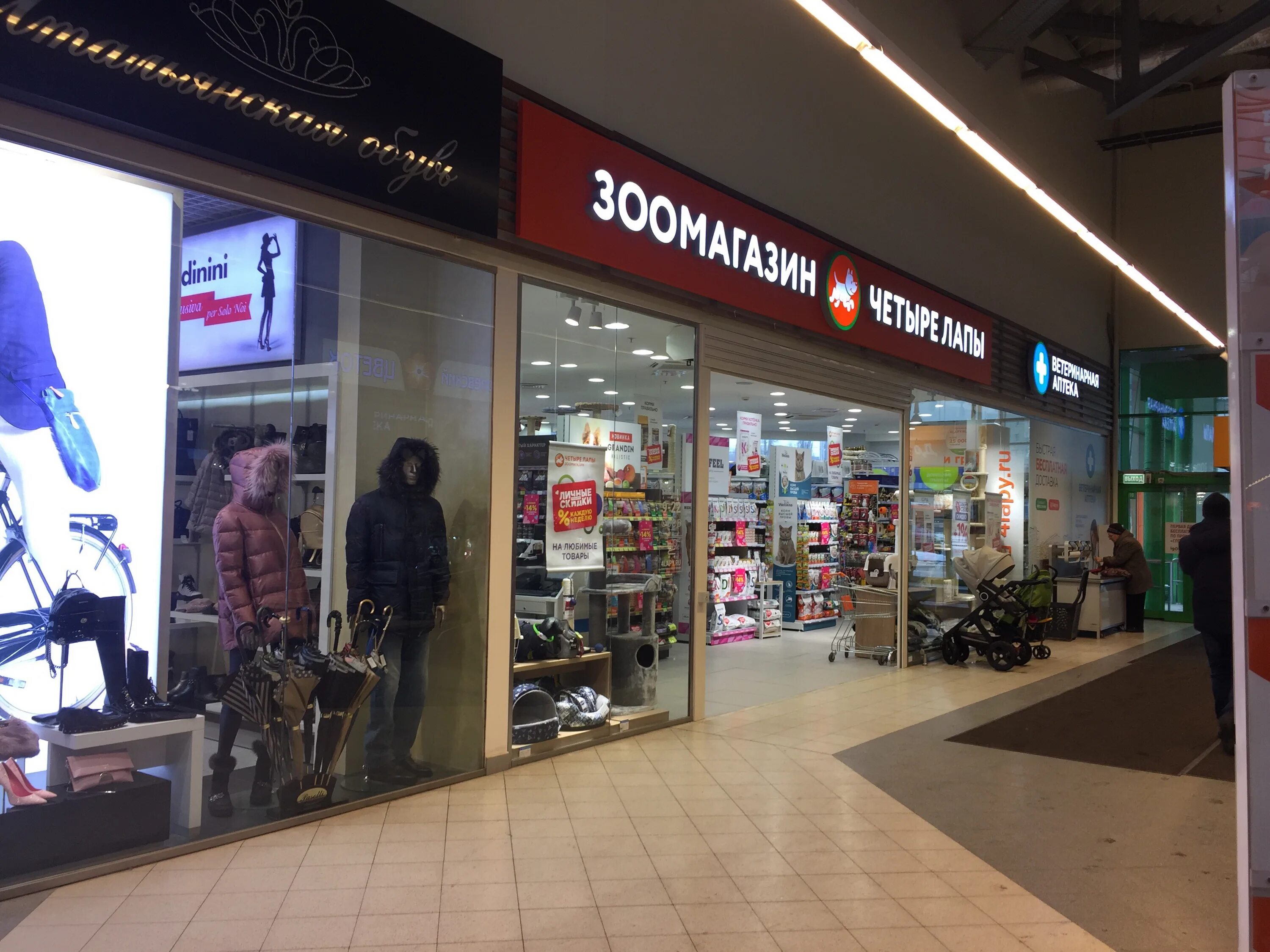 4 лапы королев. четыре лапы, королёв, проспект королёва. четыре лапы королев гелиос. проспект королёва, 22 королёв. королев четыре лапы пр.