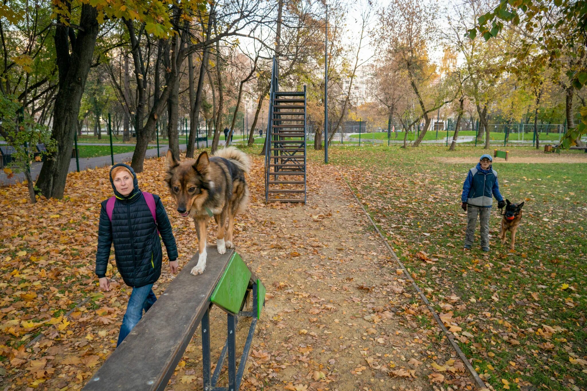 Сосенки царицыно