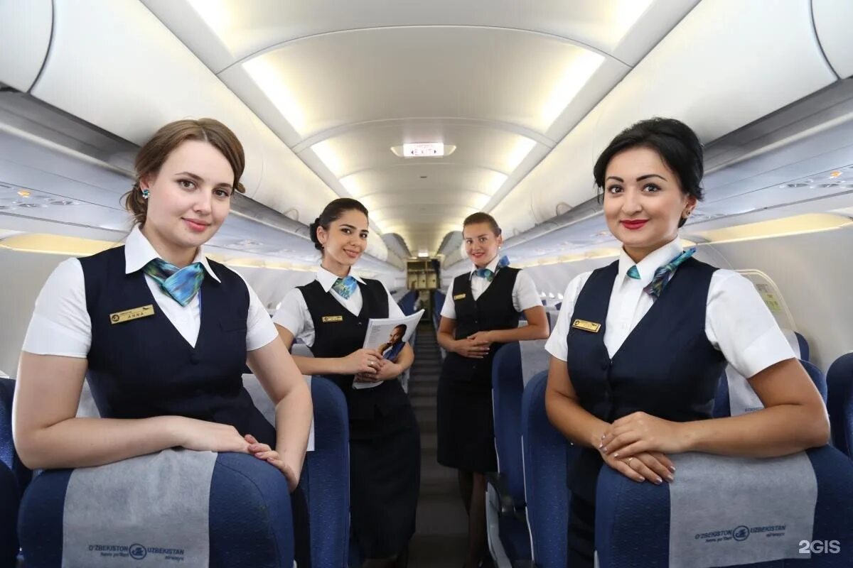нак «узбекистан хаво йуллари». форма стюардесс узбекистон хаво йуллари. Uzbekistan airways в москве. аэробус 320 узбекские авиалинии. узбекистон хаво йуллари отзывы.