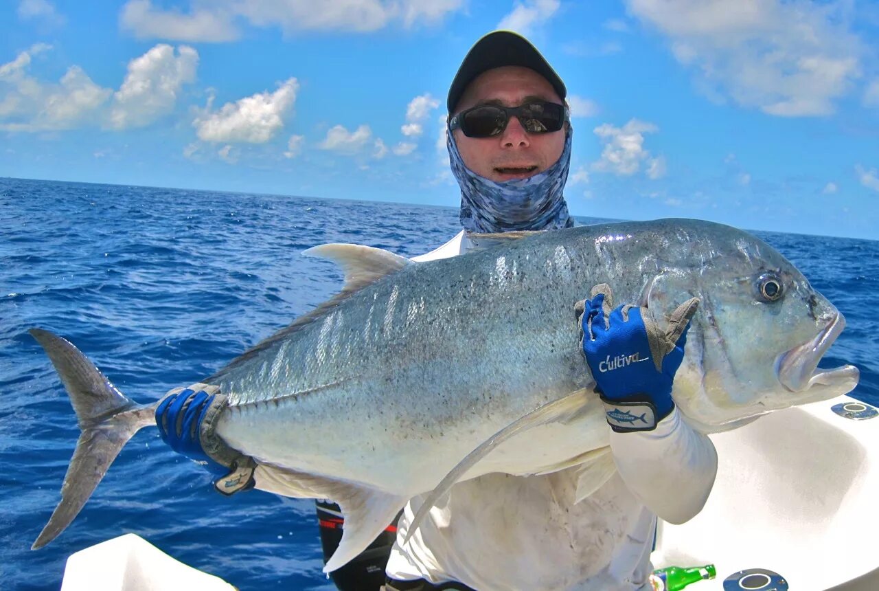 An example of a solid GT caught on a dumbell surface popper at Swains Reef in th
