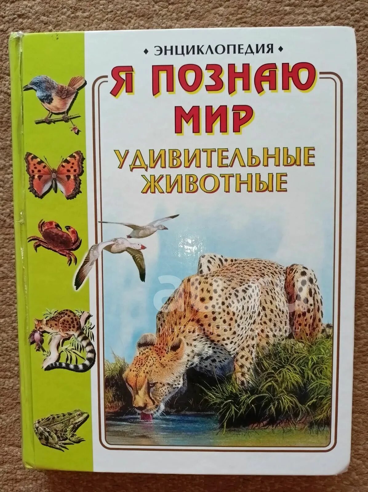 Познаем животных. Энциклопедия я познаю мир животные. Энциклопедии я познаю мир детская энциклопедия животные. Удивительные животные энциклопедия. Книга я познаю мир животные.