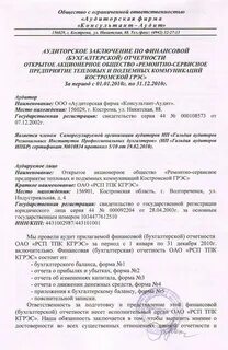 Ревизионное заключение образец
