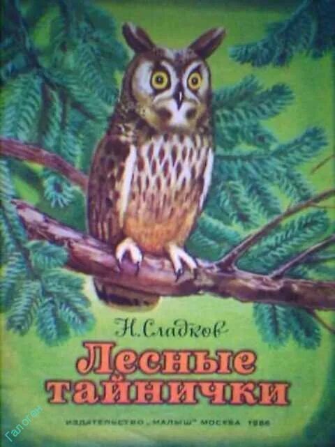 Сладков лесные. Книга Сладкова Лесные тайнички. Н. Сладков "Лесные тайнички".