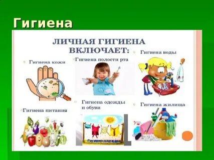 Гигиена питания обучение