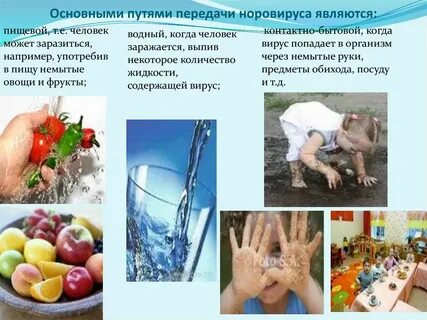 Водно пищевые инфекции