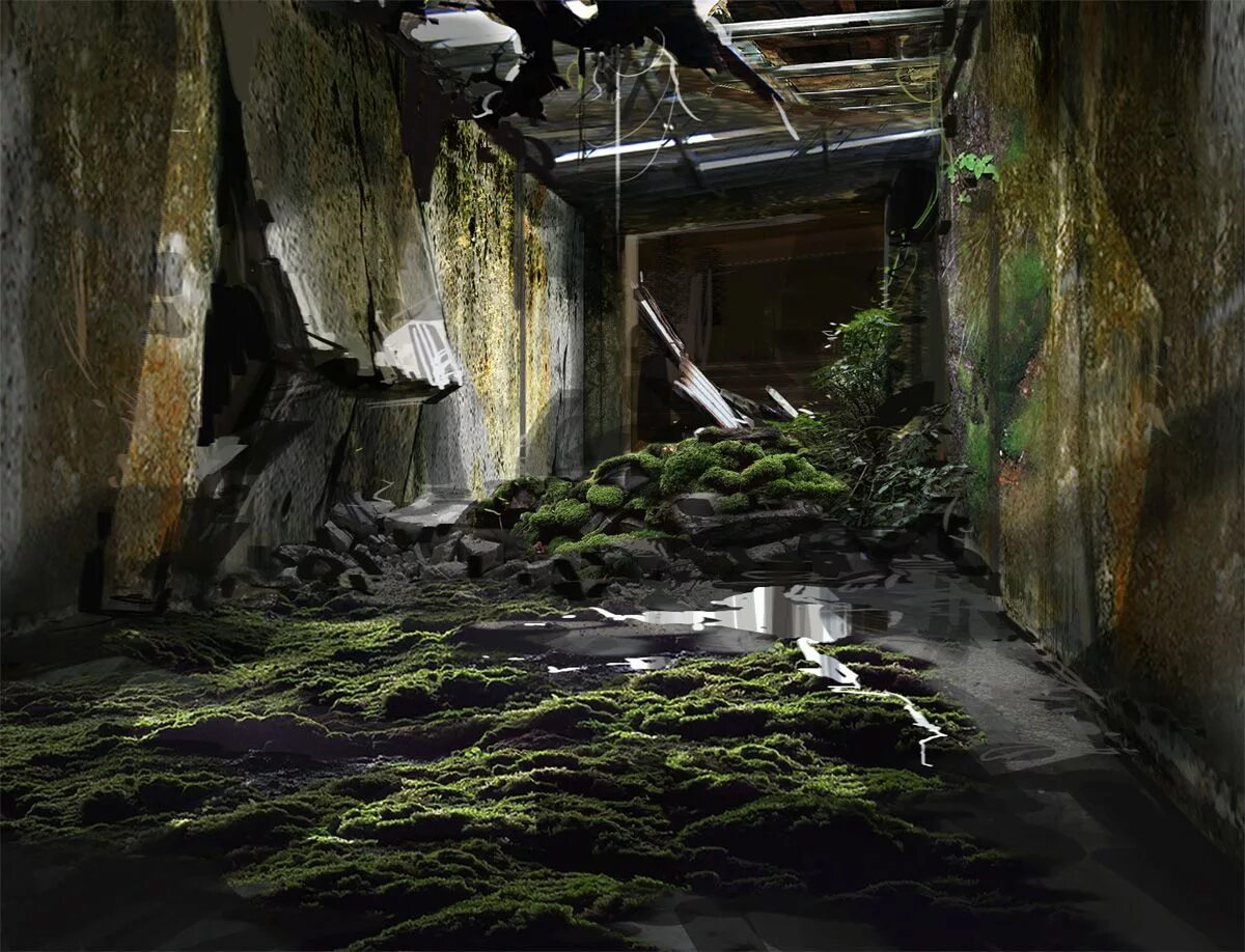 R environment