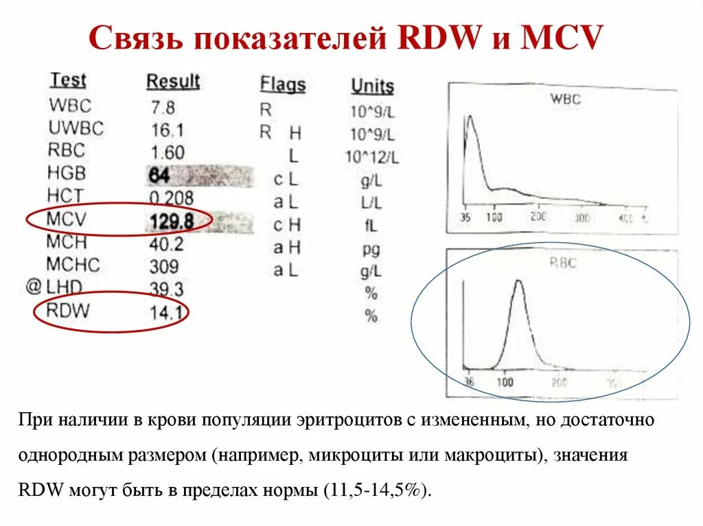 Анализ rdw повышен у женщин. Показатели крови RDW что это. Показатель RDW В анализе. Показатель крови RDW-CV что это и норма. RDW-CV В анализе.