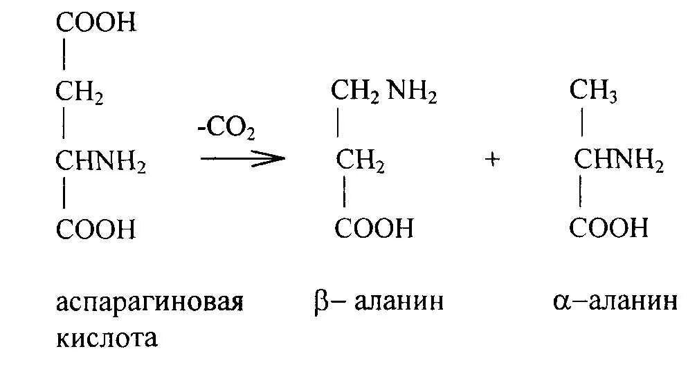 Реакция декарбоксилирования аспарагиновой кислоты. Получение альааланина. Синтез Альфа аланина. Бета аланин получение реакция.