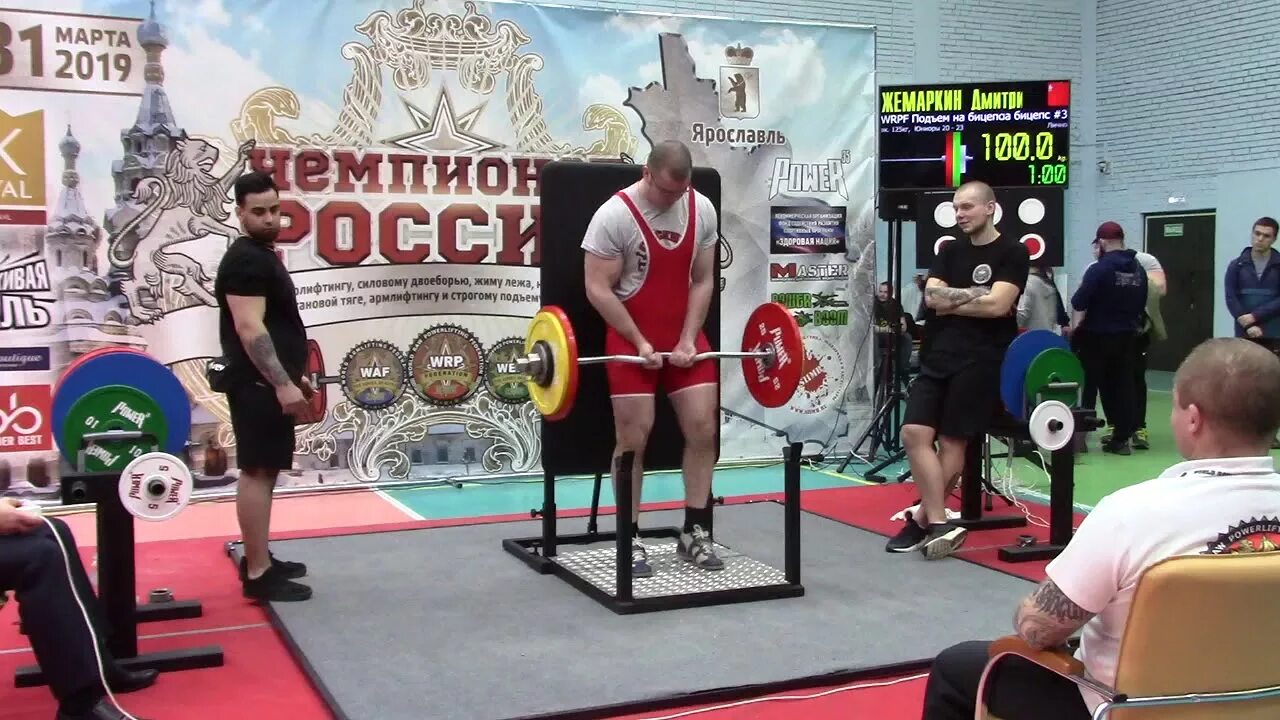 Строгий подъем на бицепс. Жемаркин Дмитрий пауэрлифтинг. Жимаркин Дмитрий бицепс. Подъем на бицепс пауэрлифтинг