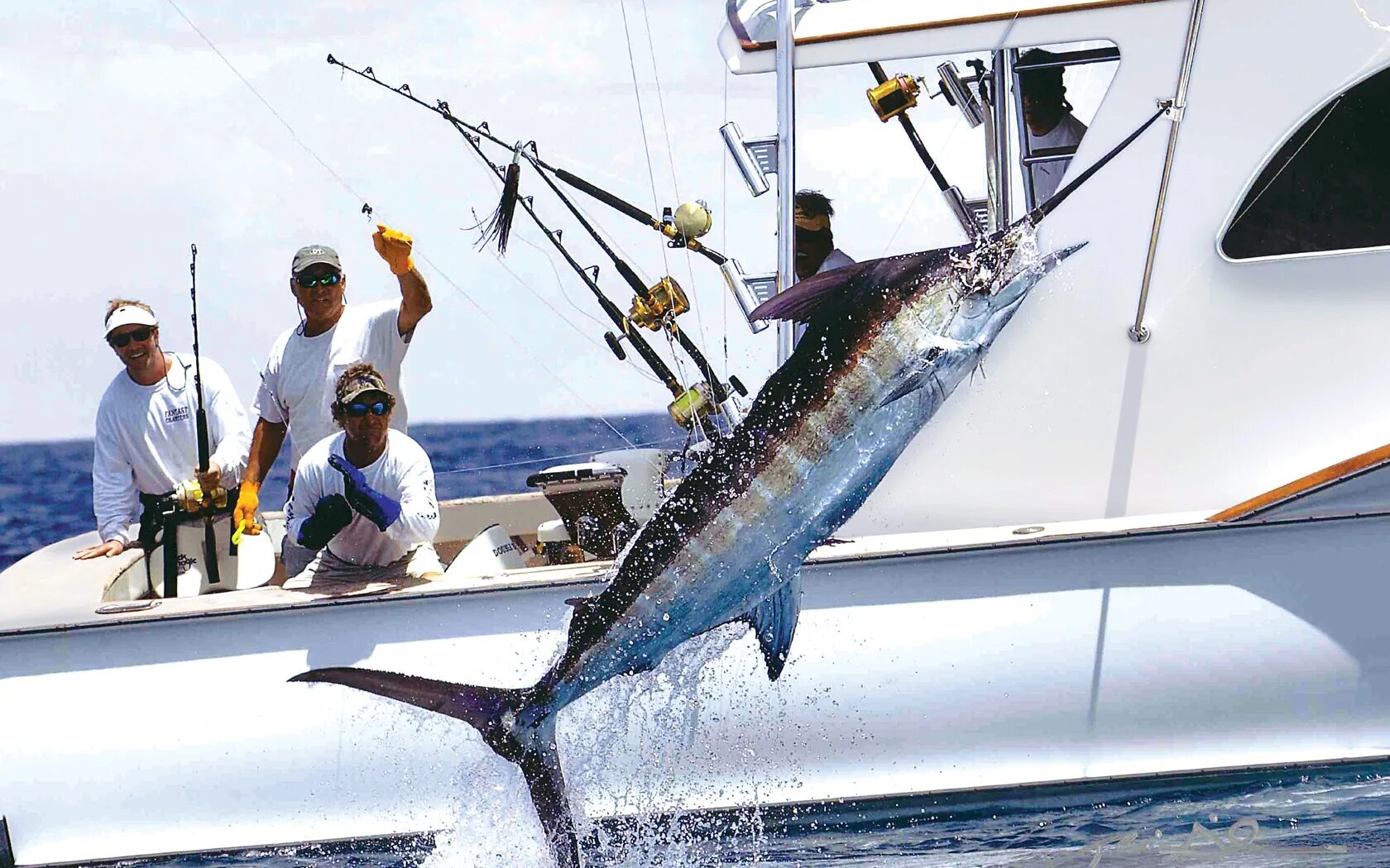 Fish may be