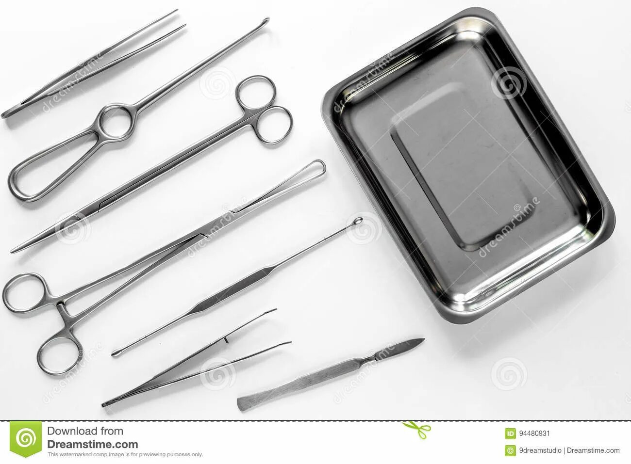 Скальпель и пинцет. Table for Surgical instruments. Набор скальпелей и пинцетов для кастрации кровавым способом быка.