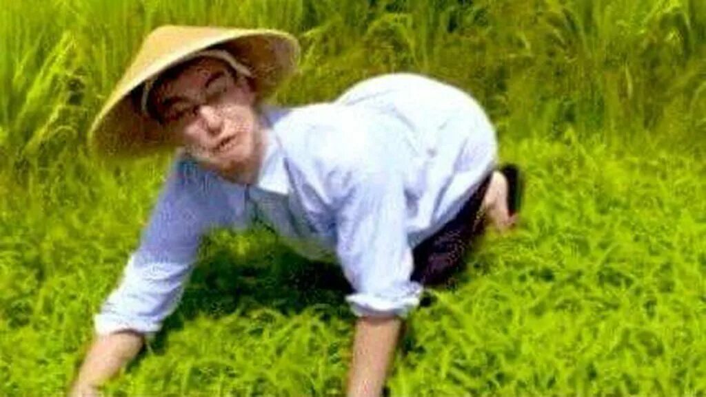 They rice in the fields. Welcome to the rice fields filthy frank. мем welcome to the rice fields.