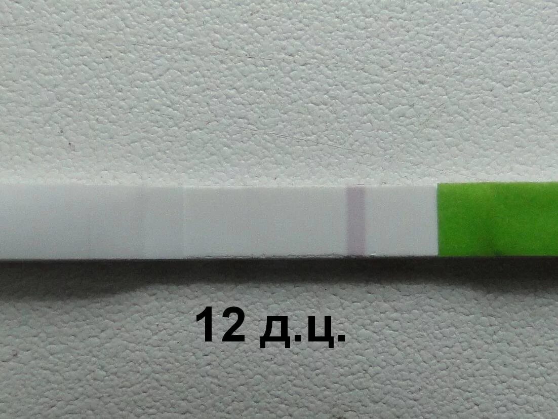Как выглядит реагент на тесте. Реагент на тесте. реагенты на тестах на беременность. тест на беременность реагент. реагент на тесте на овуляцию.
