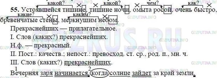 Русский язык 7 класс номер 55. Русский язык 8 класс. Русский язык 8 класс ладыженская. Русский язык 8 класс ладыженская номер 55. Русский язык 8 класс упражнения.