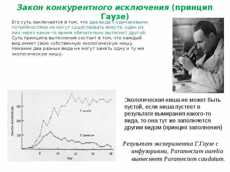 Принцип конкурентного исключения Гаузе. Принцип конкурентного исключения Гаузе график. Закон конкурентного исключения Гаузе. Закон (принцип) исключения Гаузе. Принцип конкурентного исключения