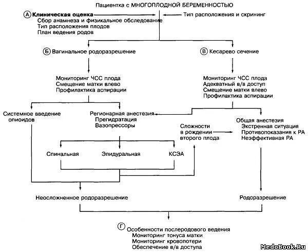 Клинический протокол родов. Тактика ведения родов при многоплодной беременности. диагностика многоплодной беременности алгоритм. план ведения многоплодной беременности. тактика ведения родов при многоплодной беременности акушерство.