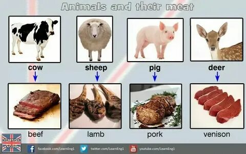 Мясная на английском