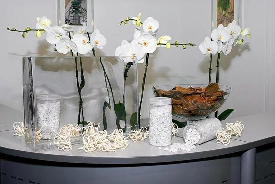 Орхидея в стеклянной вазе. Орхидеи в интерьере. Орхидея в горшке. Стеклянные горшки для орхидей