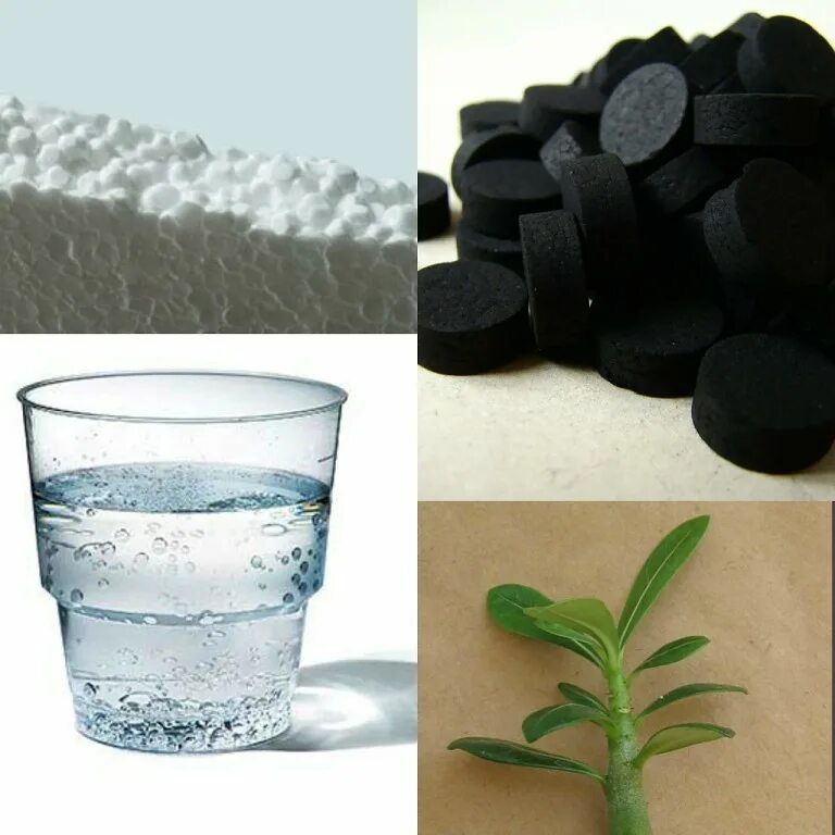 Активированный уголь для цветов. Полив активированным углем. Черные таблетки. Активированный уголь для почвы. Активированный уголь.