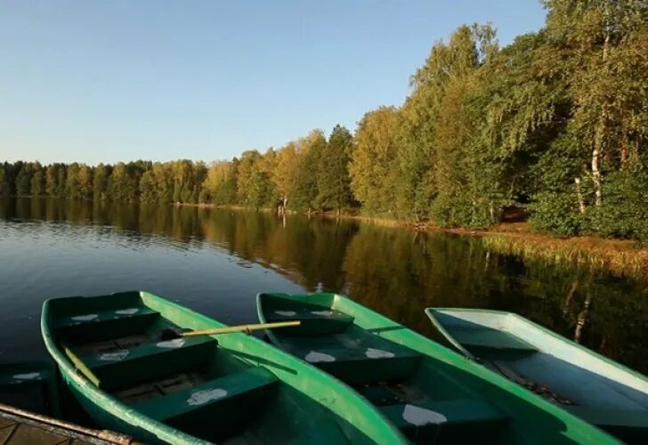Озеро боровое ногинский. Озеро боровое ногинск. Озеро боровое ногинский. Озеро боровое в буньково. Озеро коверши ногинск.