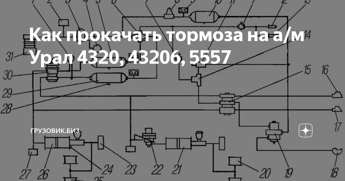 Тормозная автомобиля урал. Тормозная система Урал 43206. Тормозная система Урал 4320 схема. Тормозная схема Урал 4320 тормозная система. Тормозная система Урал 4310.