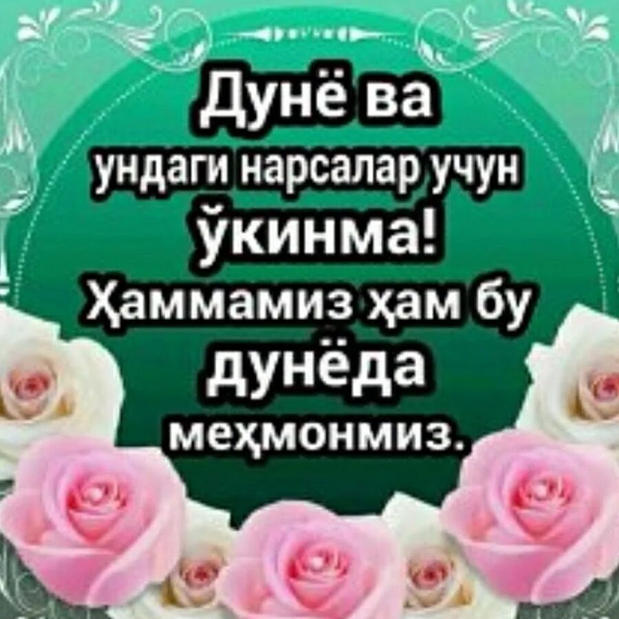 Афоризм расмлар. Имя мухаммад. Kayfiyatim yaxshi muhammad. А. Сайидина мухаммад.