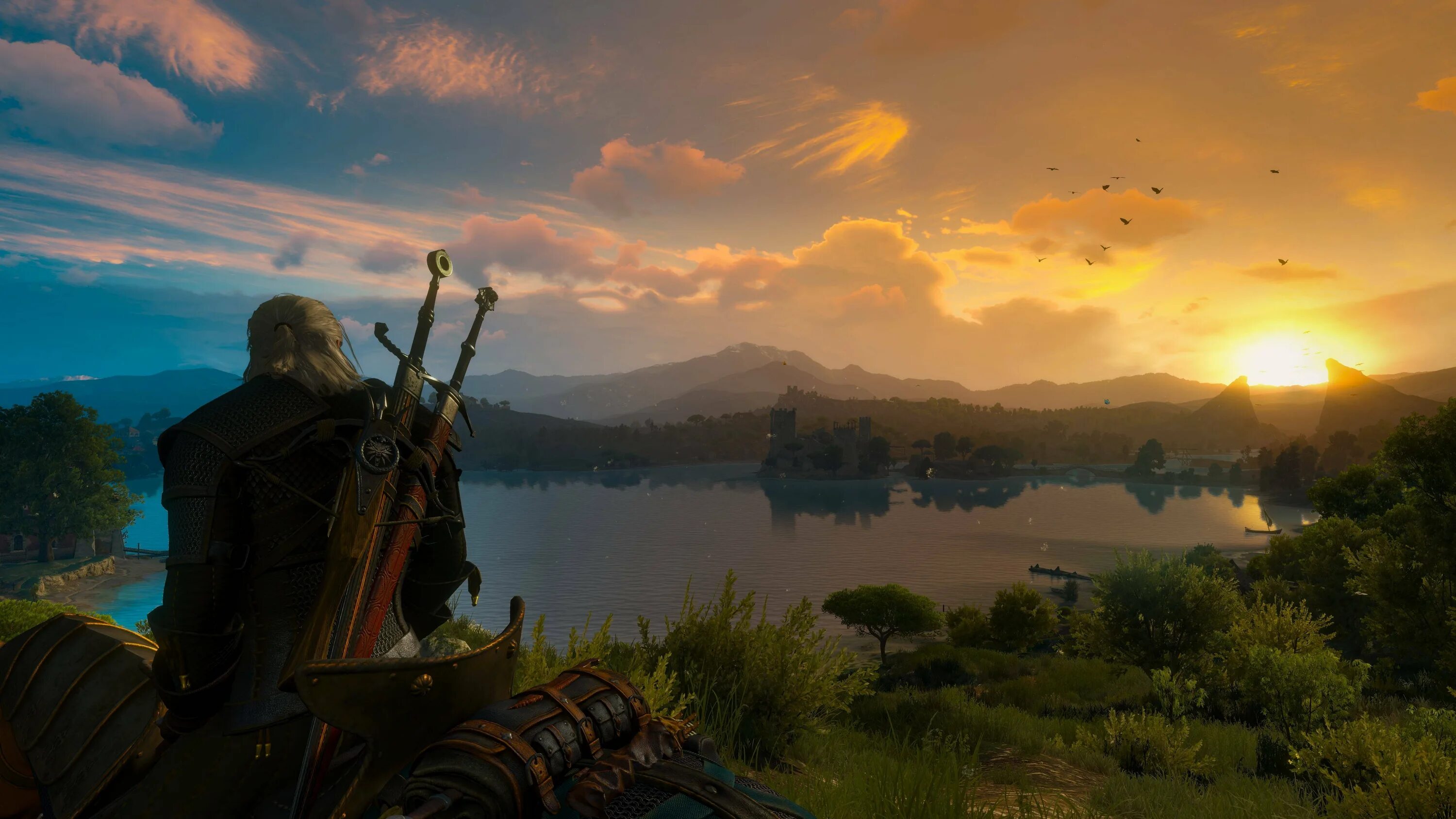 Witcher 3 v 4.04