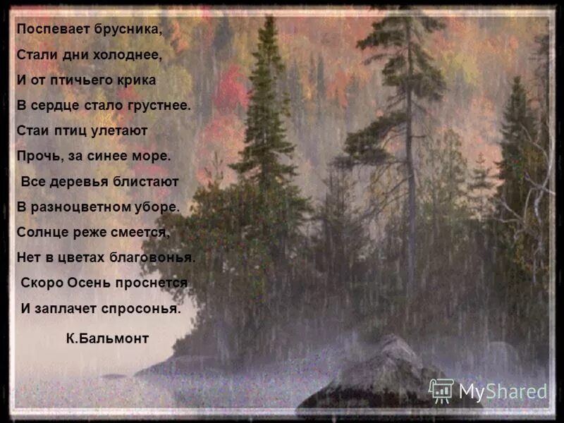 прочь за синее море стаи птиц